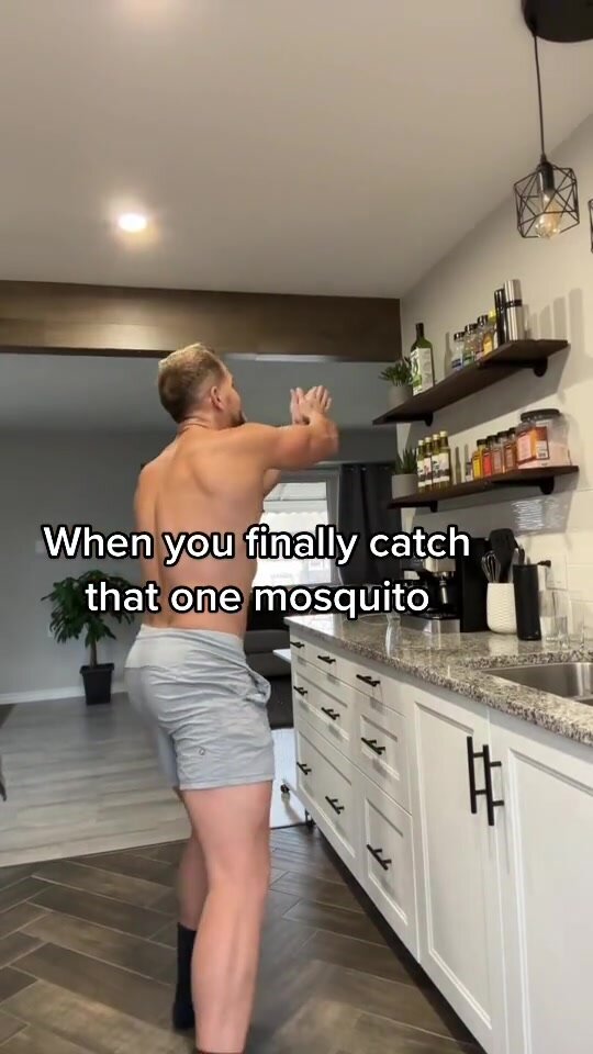 Mosquito's trend tic toc 6