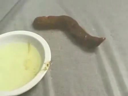 Girl poop a huge turd on plate