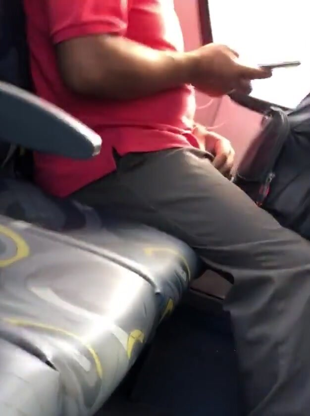 Horny guy grabs his dick in bus