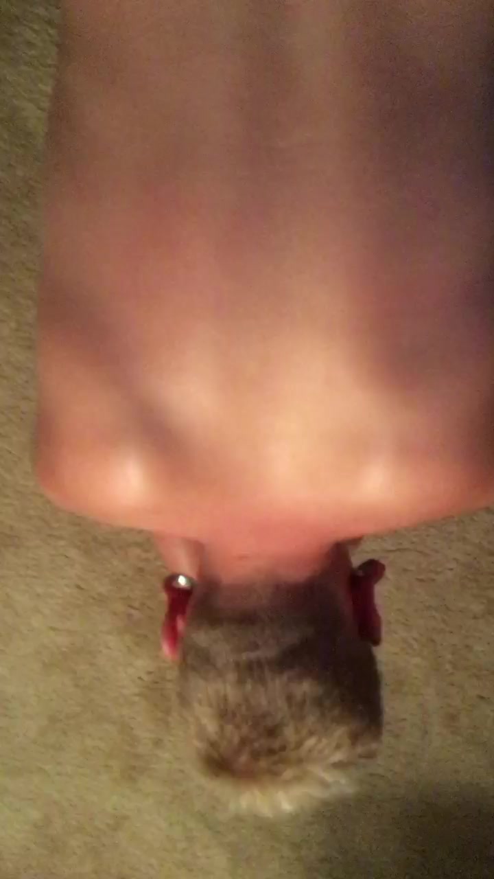 boy getting fucked doggy by daddy