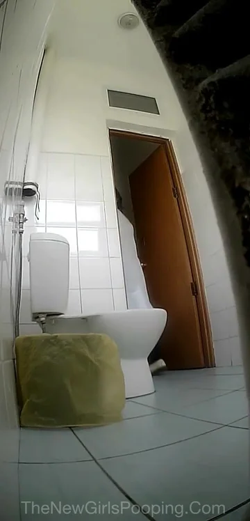 voyeur defecation in toilet