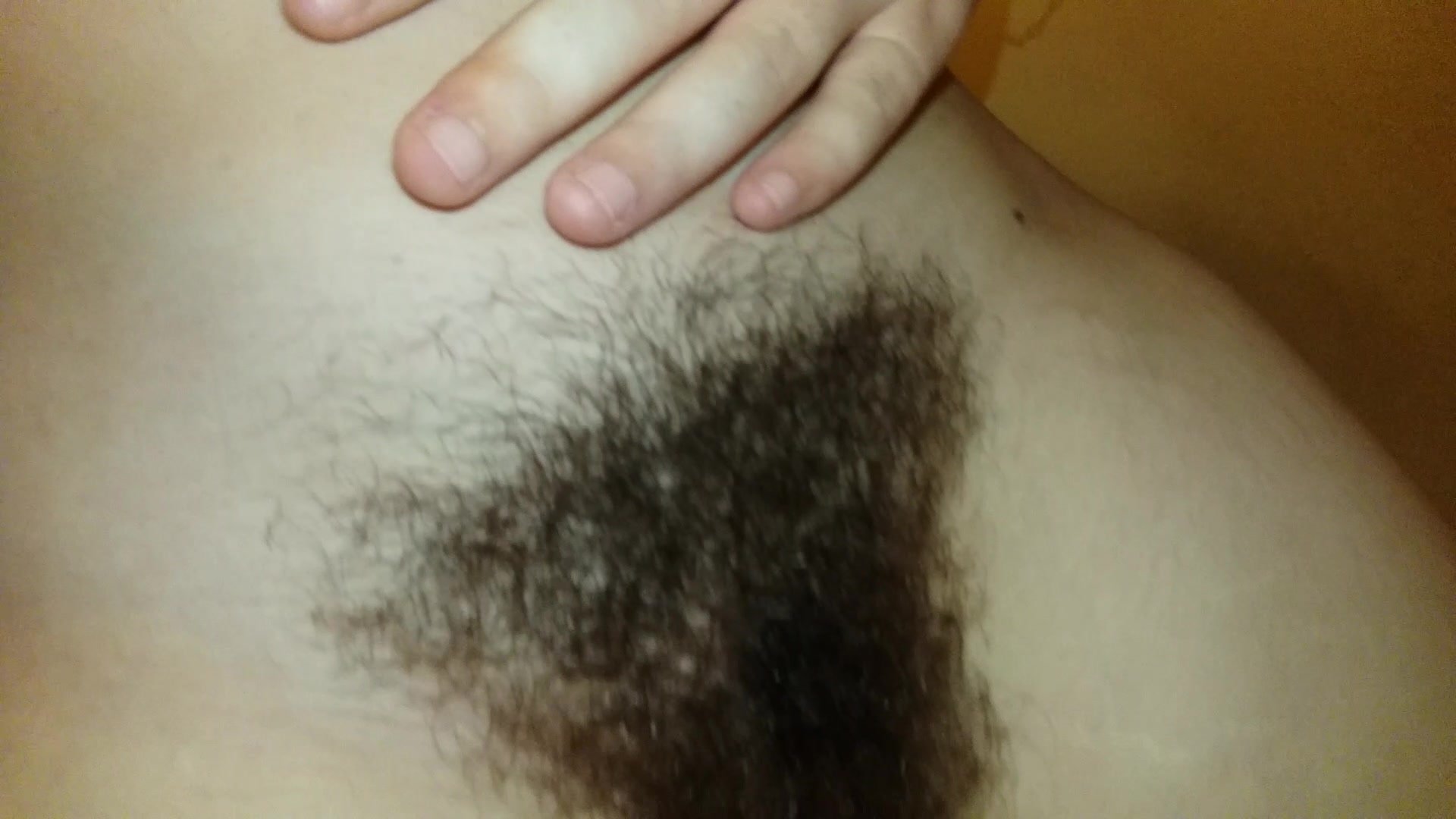 Tits and hairy pussy