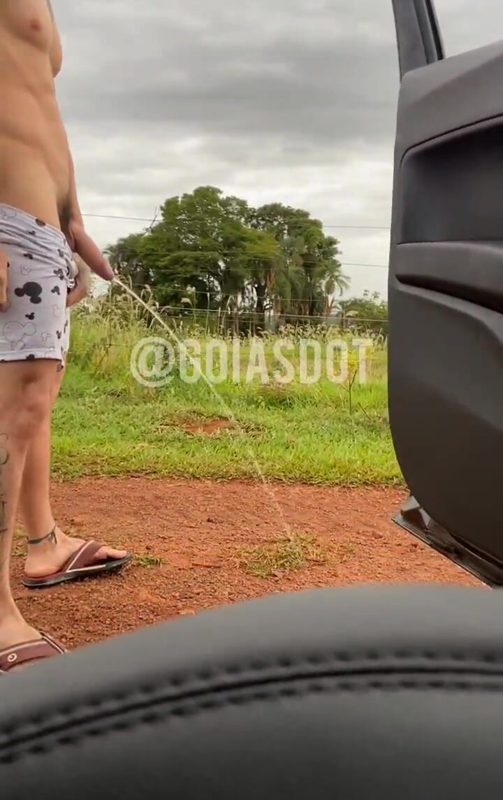 Pissing On The Road