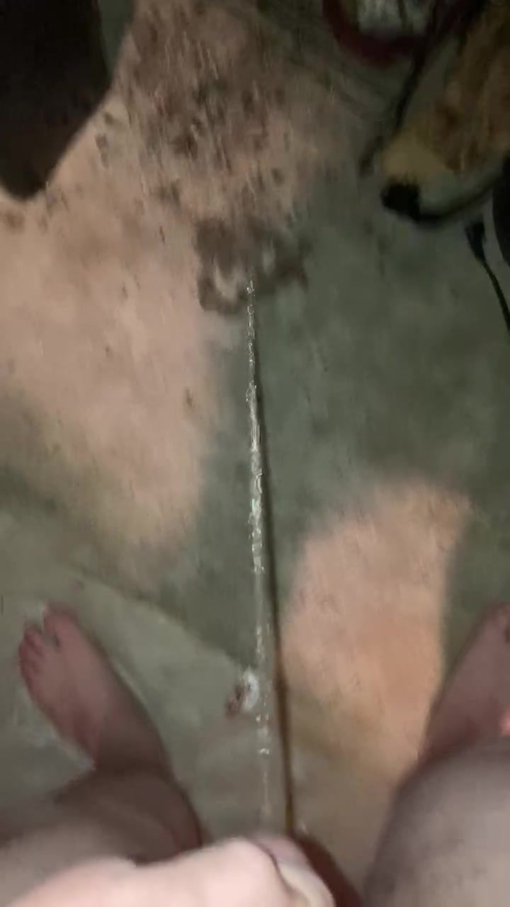 Carpet piss - video 21