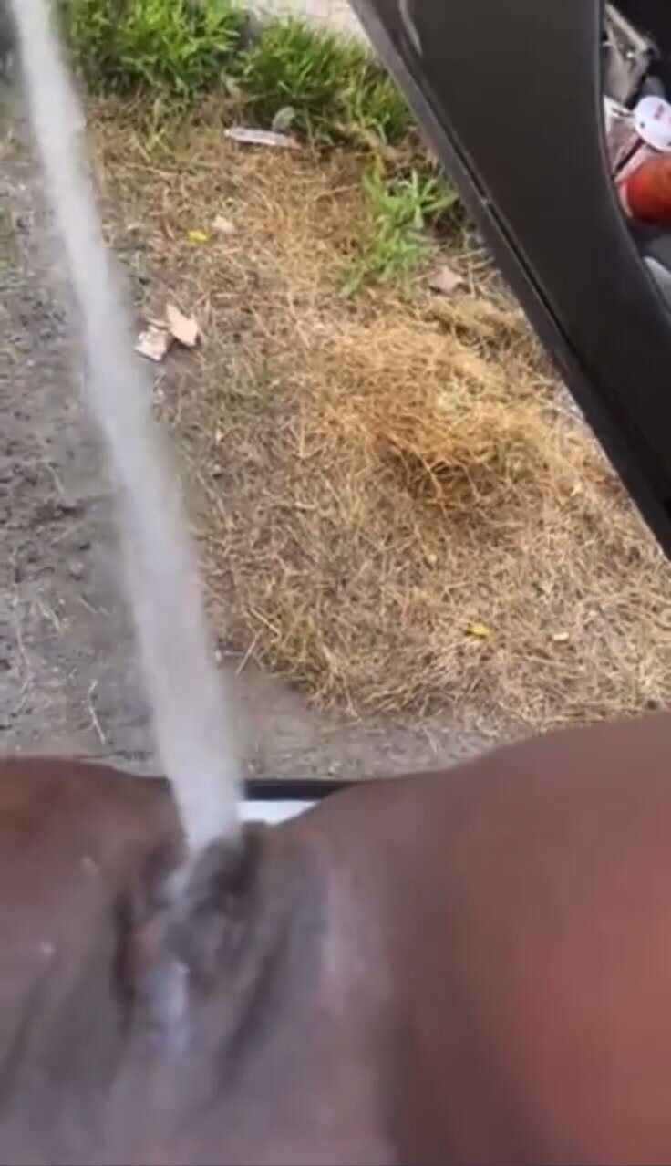 Ebony pissing out the car