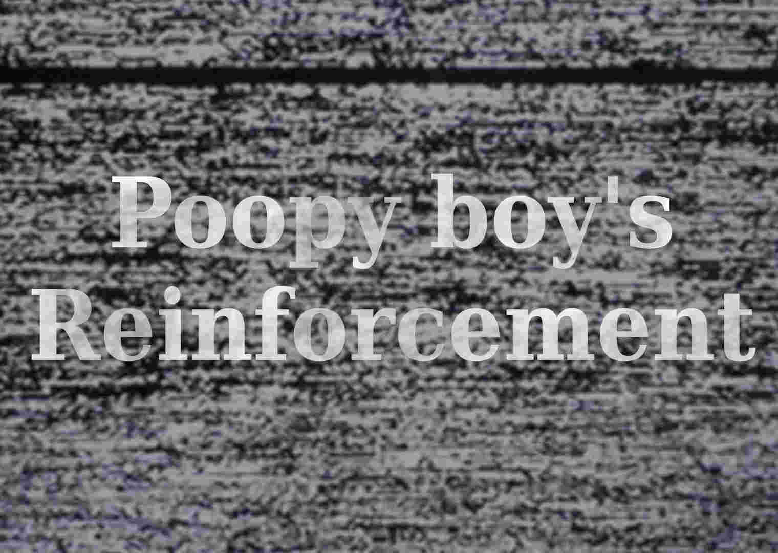 Poopy boy reinforcement