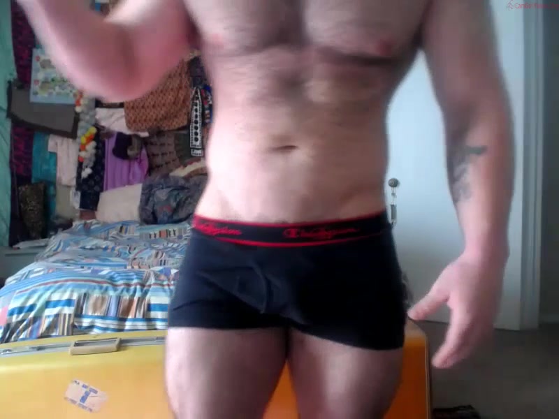 Muscle Bear