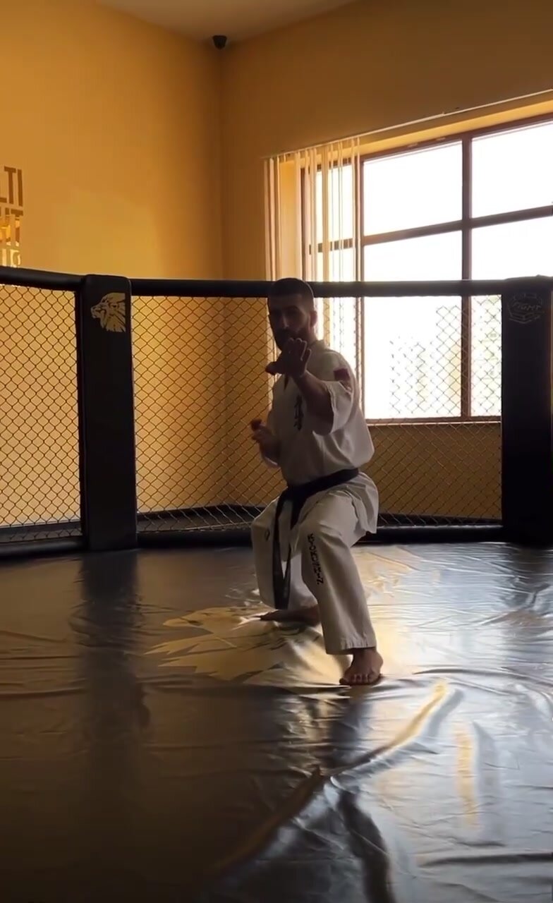 Karate man doing kata