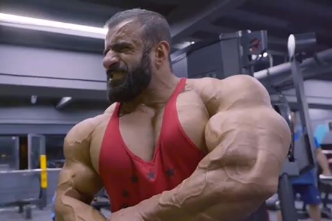 Arab muscle - video 5