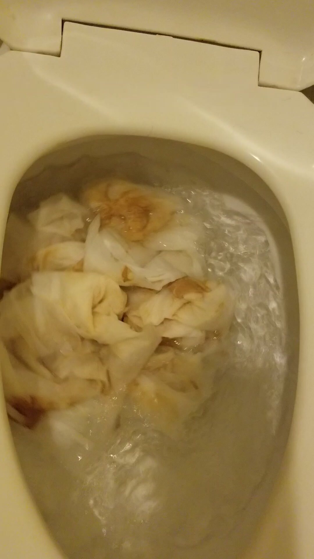 Toilet filled with shitty toilet paper