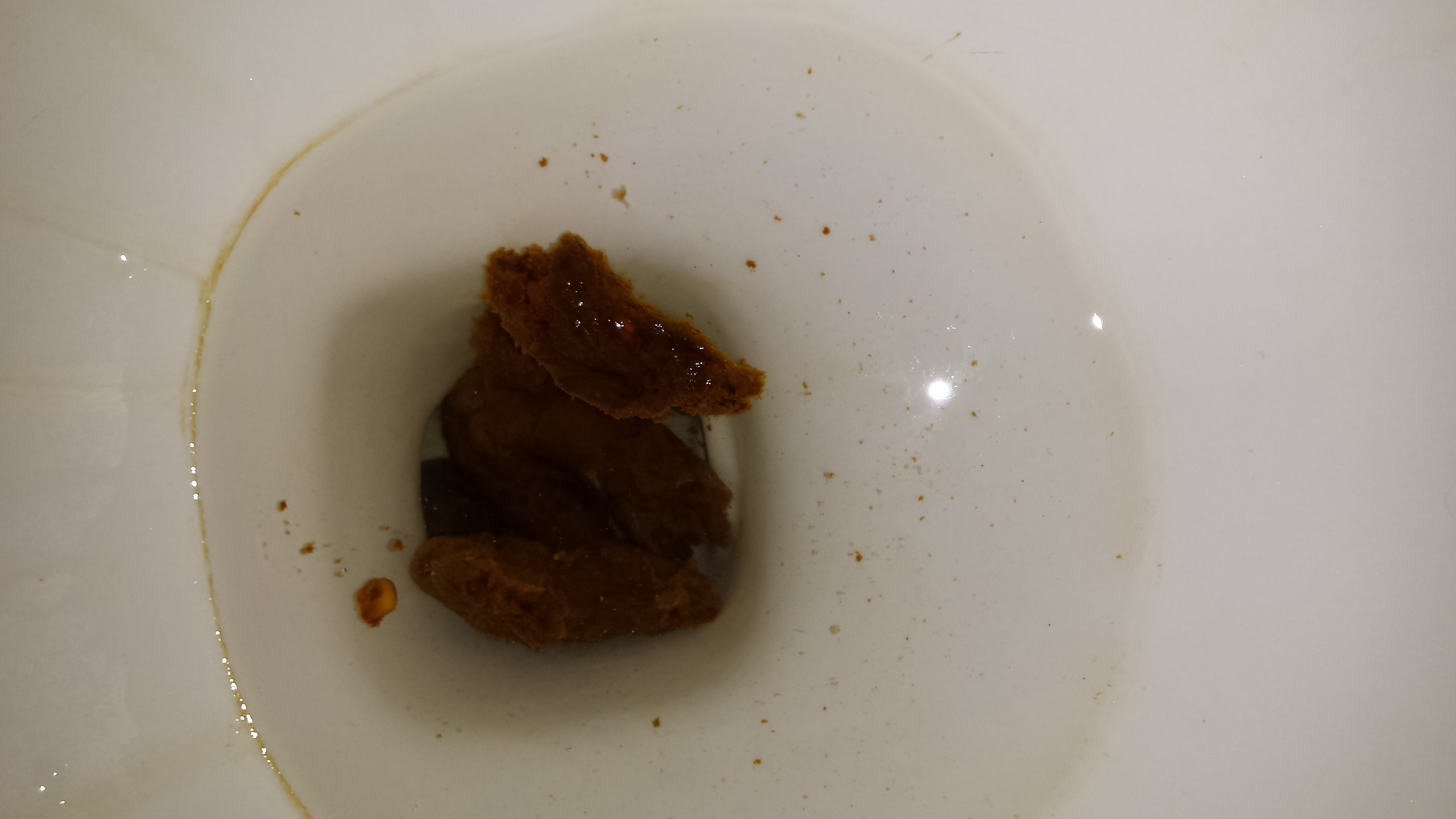 2nd after thanksgiving poop
