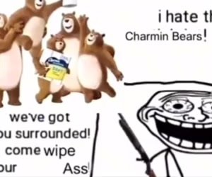 i hate the charmin bears