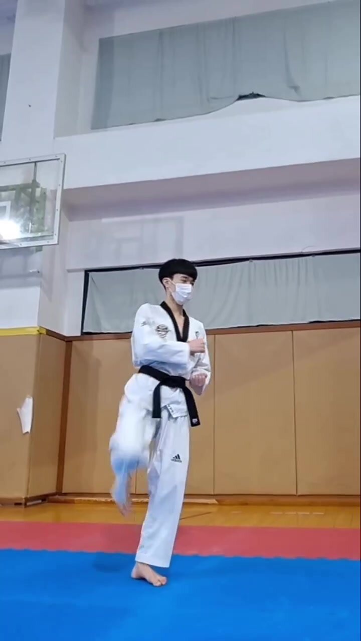 Taekwondo sex