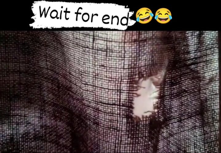 Funny Dick scene