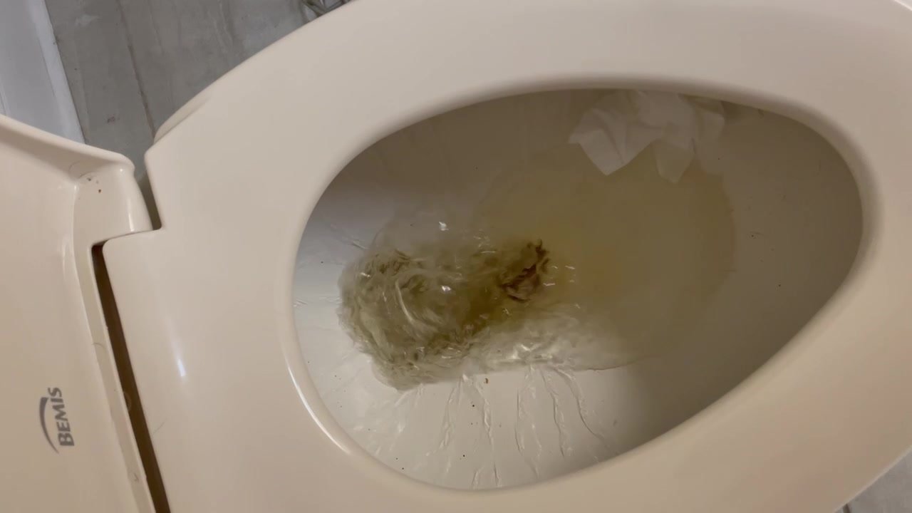 College girls shit goes down the toilet