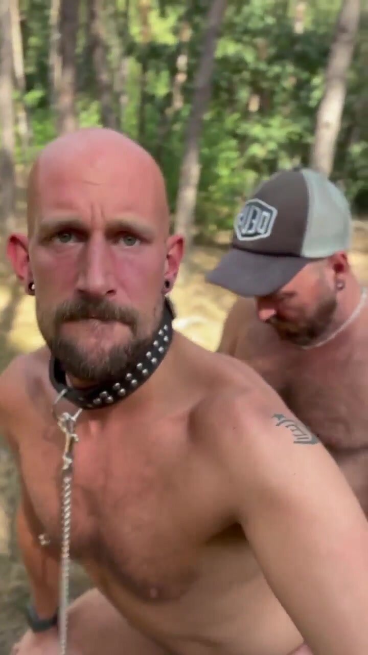 Breeding the collared boy in the woods