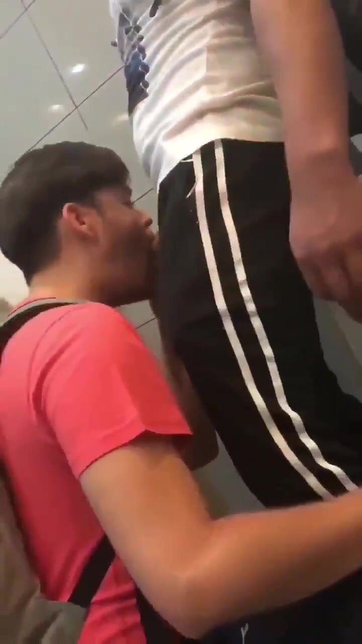 Sucking cock in the toilets