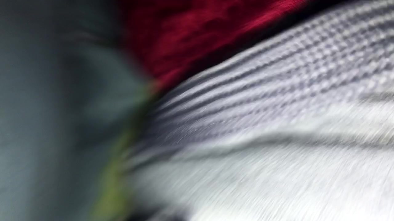Sleeping Friend 3