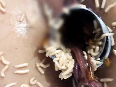 Worms and bugs in pussy
