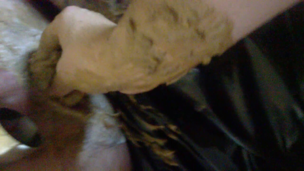 shit fist 2