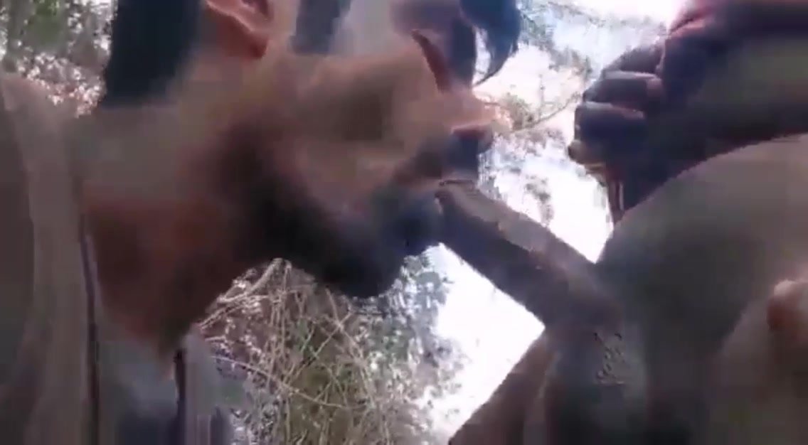 Indian suck - video 2
