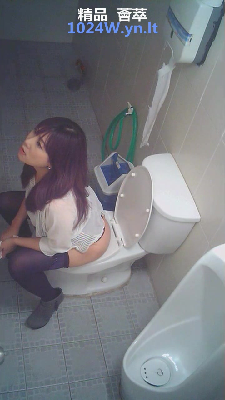 Korea office toilet 3