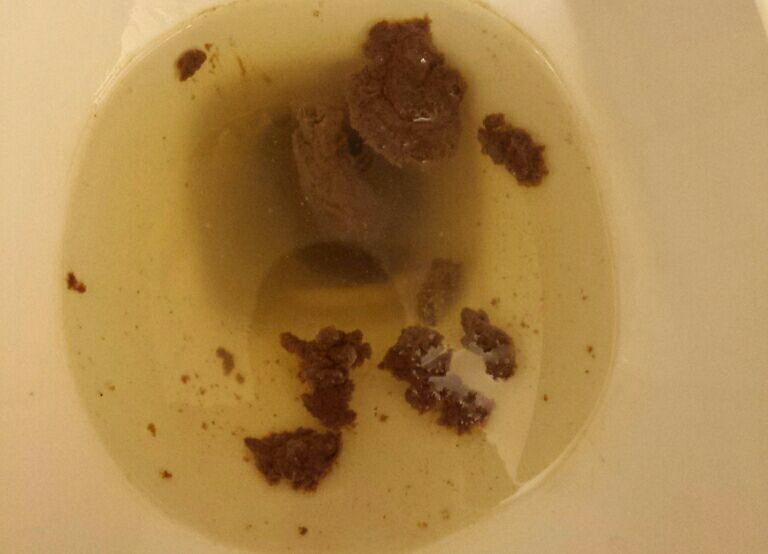 Early Morning poo