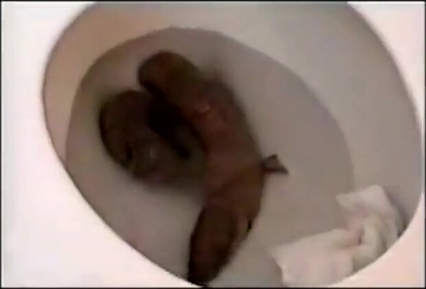 Classic girl pooping video