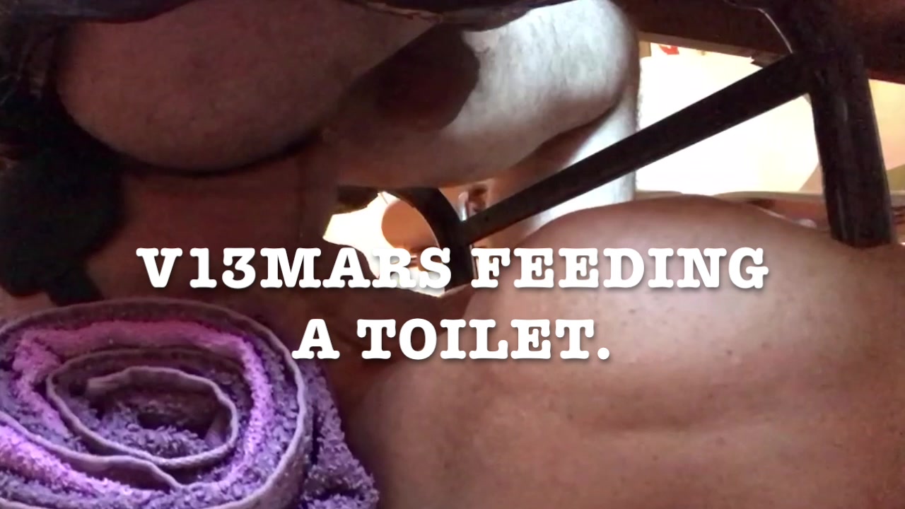 " V13MARS " feeding " Clar "