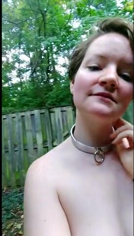 Wild collared chubby spotted in backyard