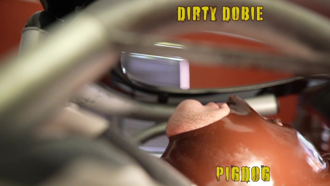 DirtyDobie uses it's toilet