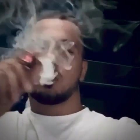 Cigar - video 551