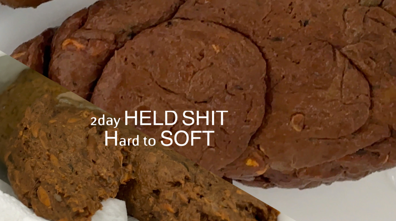 2 day poo hard to soft