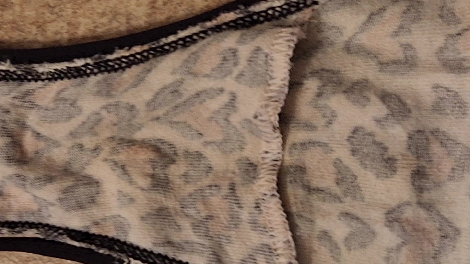 Wife's dirty panty from this week