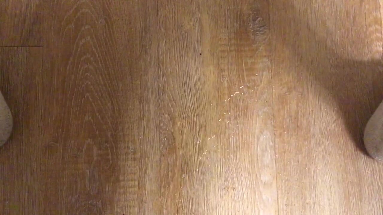 Peeing on the Floor - video 2