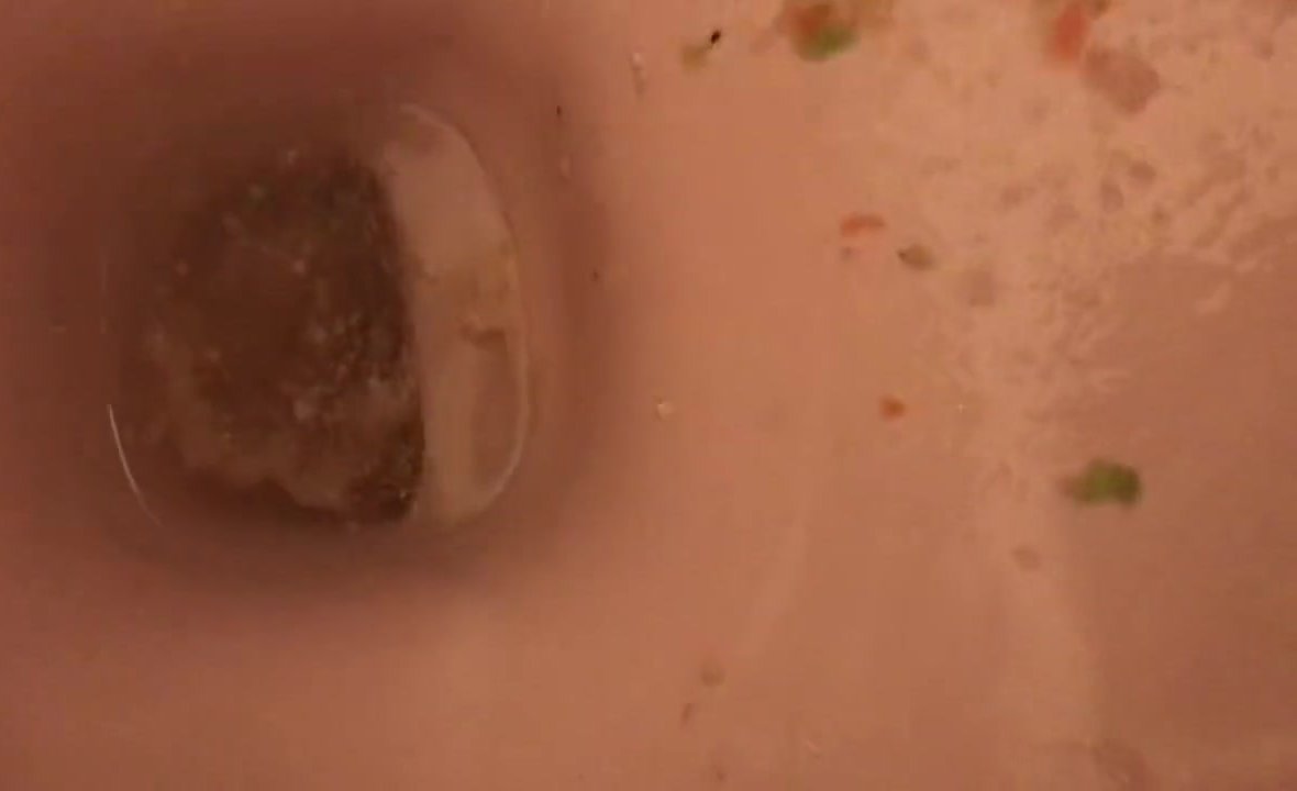 Girl Blows Chunks in a Toilet