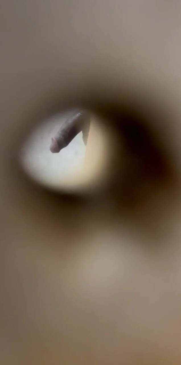 Video: Gym shower peephole - ThisVid.com