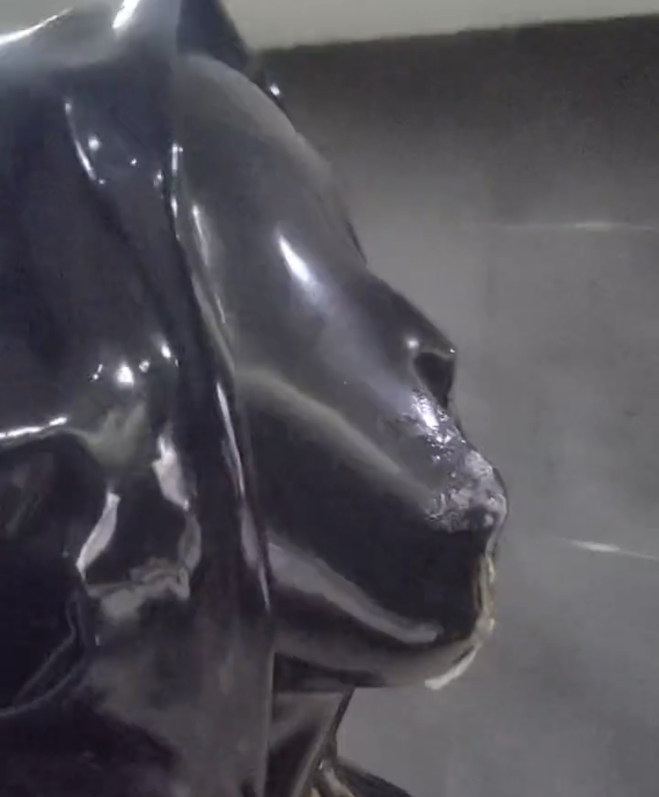 Gimp drooling in his rubber mask