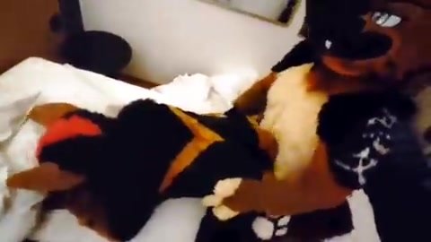 Shep Fucks a Dobie Murrsuit