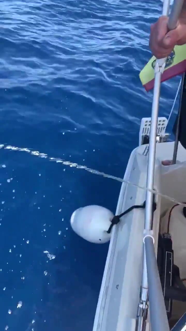 Big Dicks Pissing Off Boat