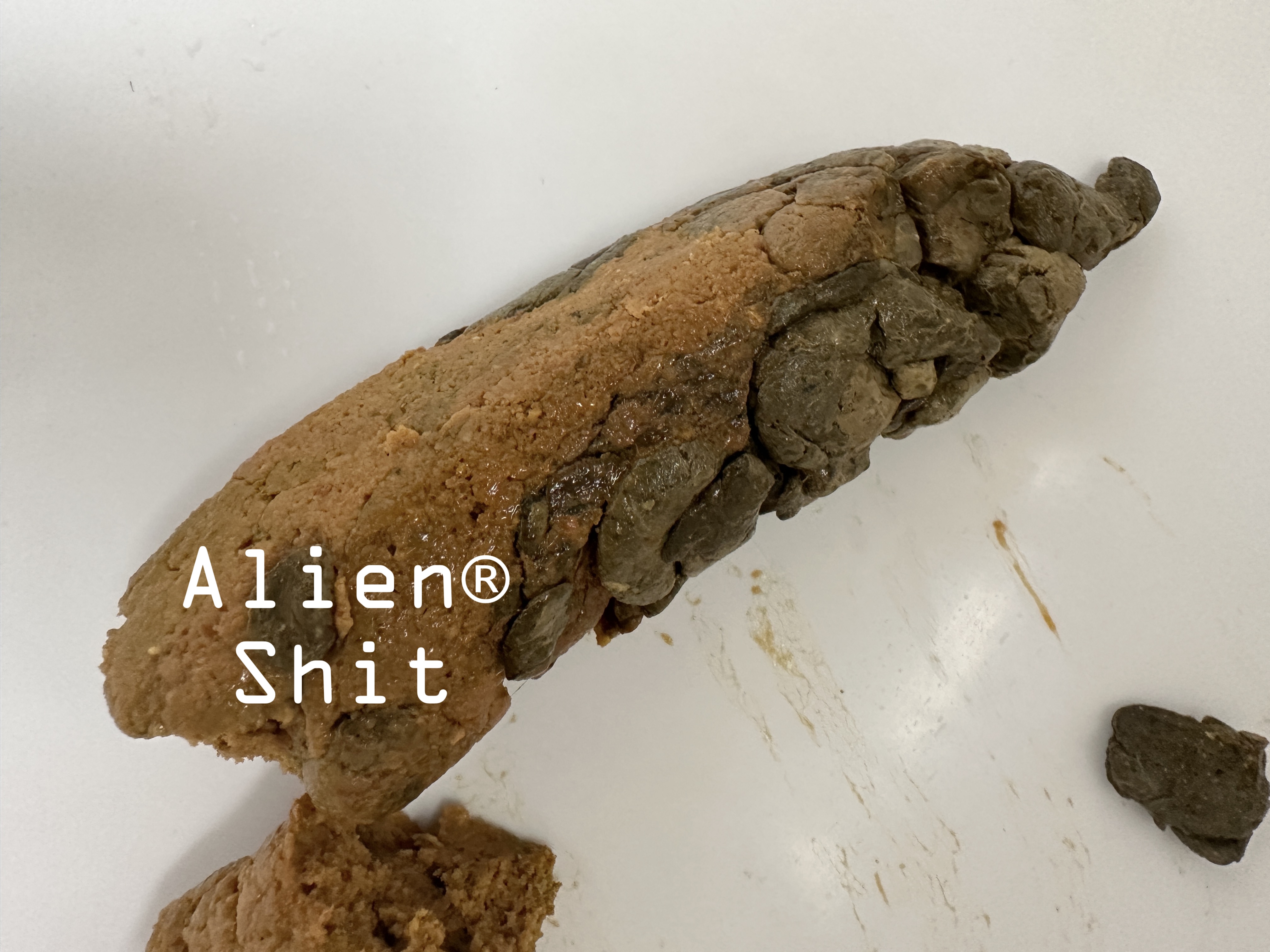 Alien® shit