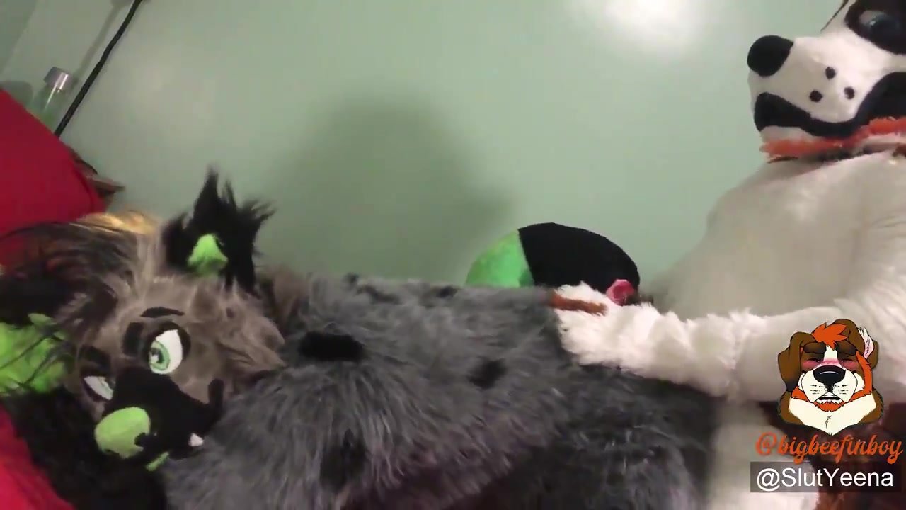 Hyena gets fucked by a big boy
