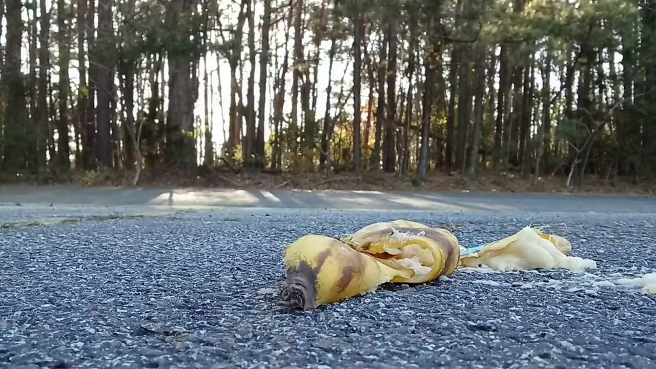 Banana Run and Stomp