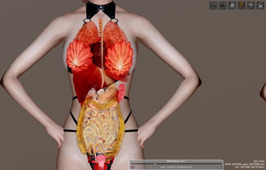 (R-18G)X-ray Internal_Organ Dance [HoneySelect2 Mod]