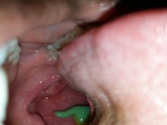 Open mouth dino swallow 1