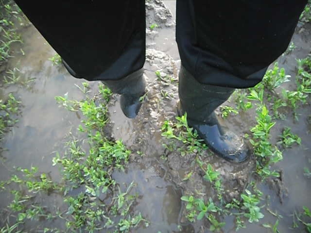 Rubber boots in mud - video 2