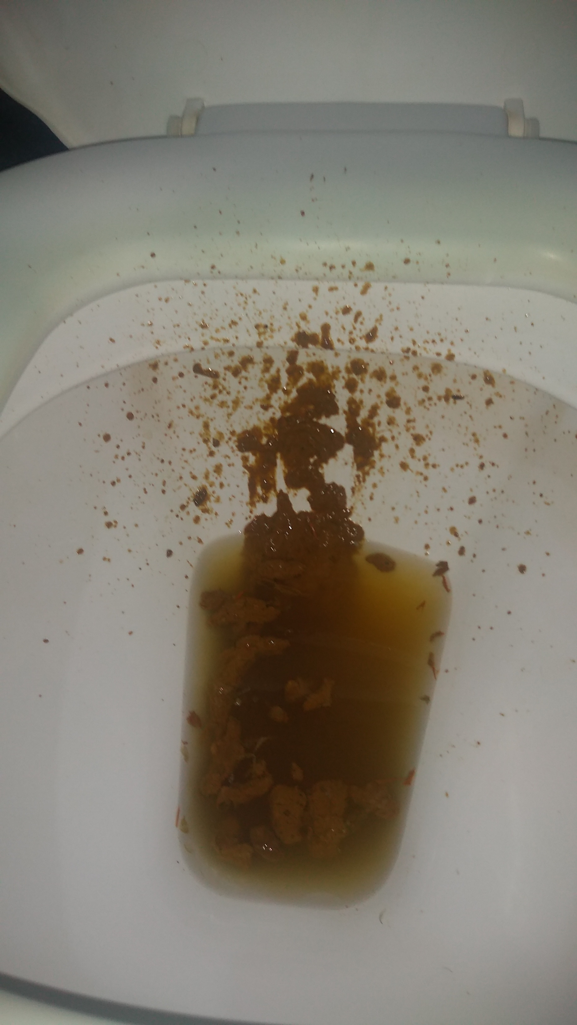 Epic diarrhea over the toilet