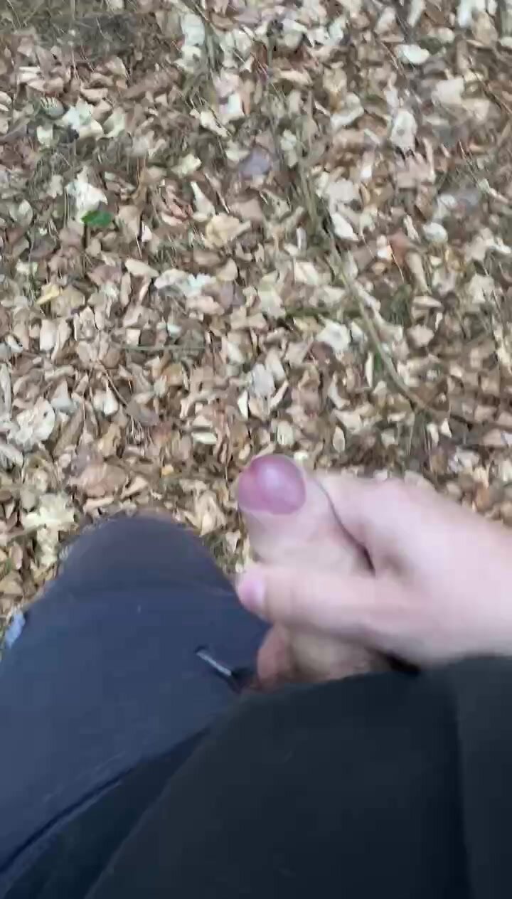 Wanking in the forest