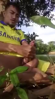 outdoor - video 15