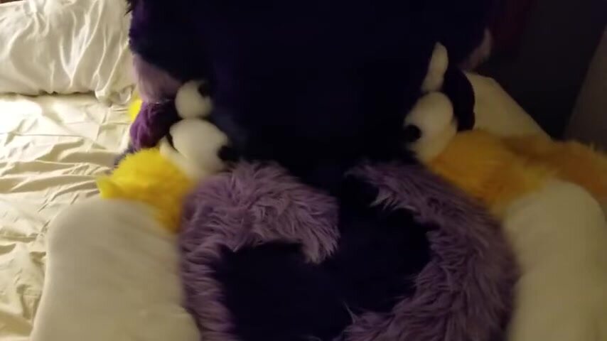 Renamon and purple husky